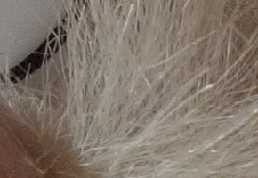 Sony Cyber-shot RX100: terminátor zrcadlovek