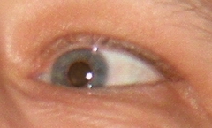 Nikon Coolpix P80: ultrazoom plný protikladů