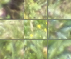 Fujifilm FinePix HS20EXR: důstojný nástupce