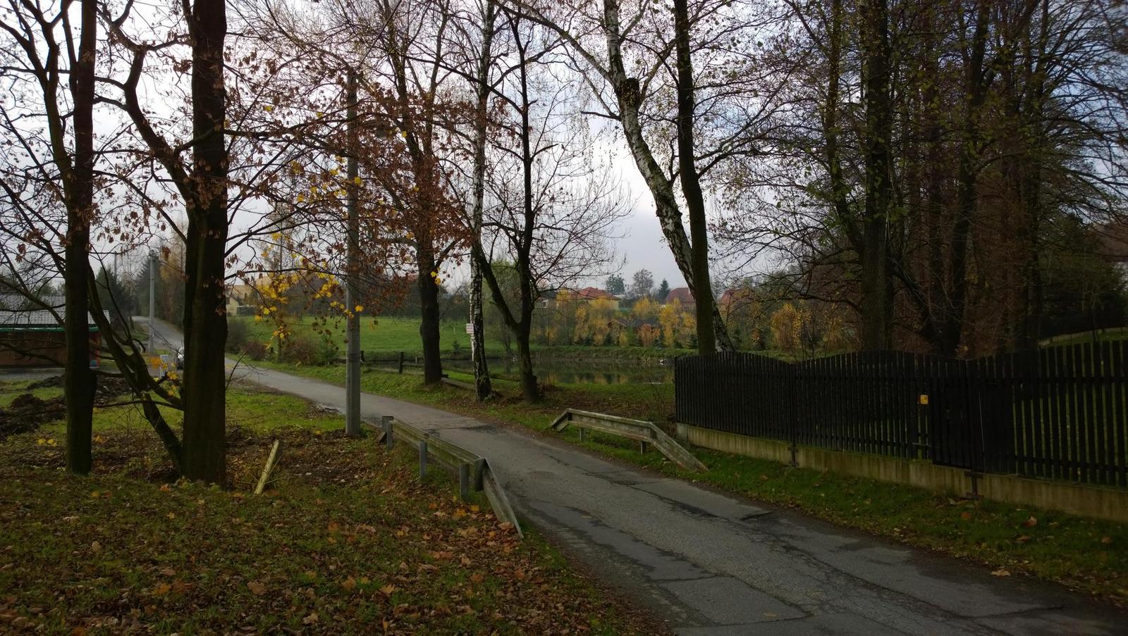 Nokia Lumia 1020 vs. 808 PureView