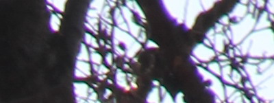 Megatest ultrazoomových objektivů