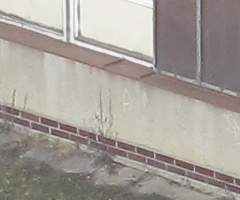 Canon PowerShot G10: stále mezi nejlepšími