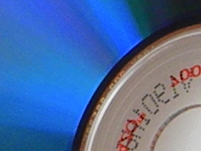 Nikon Coolpix L100: lovec hmyzu