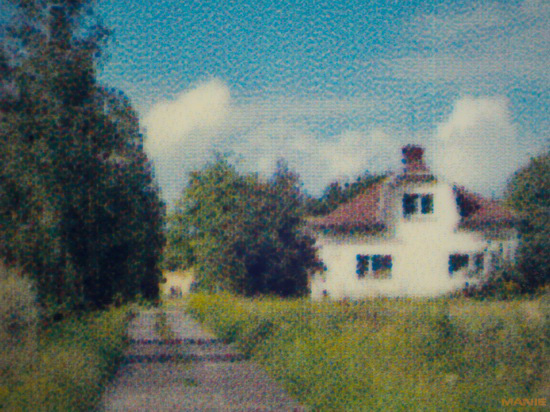 Epson L800: Fotky téměř "zadarmo"