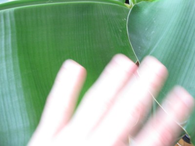 Tipy a Triky nejen pro začátečníky, díl 7. - Proč je stabilizace občas na nic