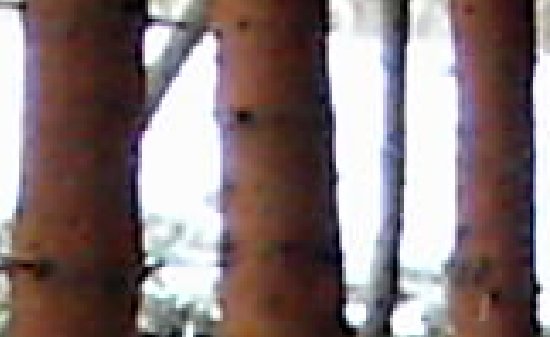 Pentagram Photon 484: Svérázný 4 Mpix ultrazoom