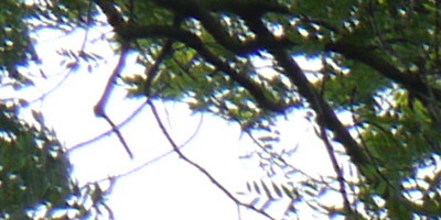 Panasonic Lumix G Vario 14-42mm F3,5-5,6 APSH.