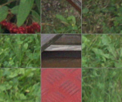 Panasonic Lumix G Vario 100-300mm F4-5,6