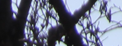 Megatest ultrazoomových objektivů