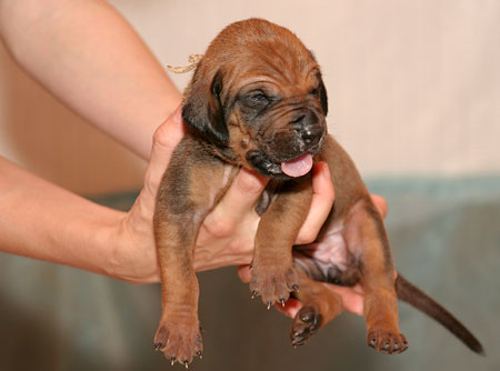 Fotografický blesk na cestě časem – 3. díl