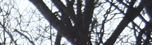 Nikon AF-P NIKKOR 18-55mm f/3.5-5.6G VR