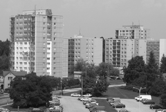 Fujifilm S100FS: jde zrcadlovkám po krku