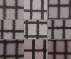 Panasonic LUMIX G VARIO 7-14mm F4.0