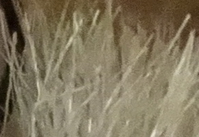 Sony Cyber-shot HX20V: umí snad všechno