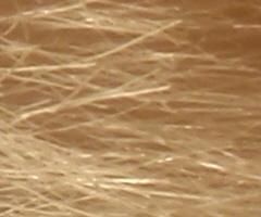 Olympus mju 9000: 10× ultrazoom v kompaktním balení