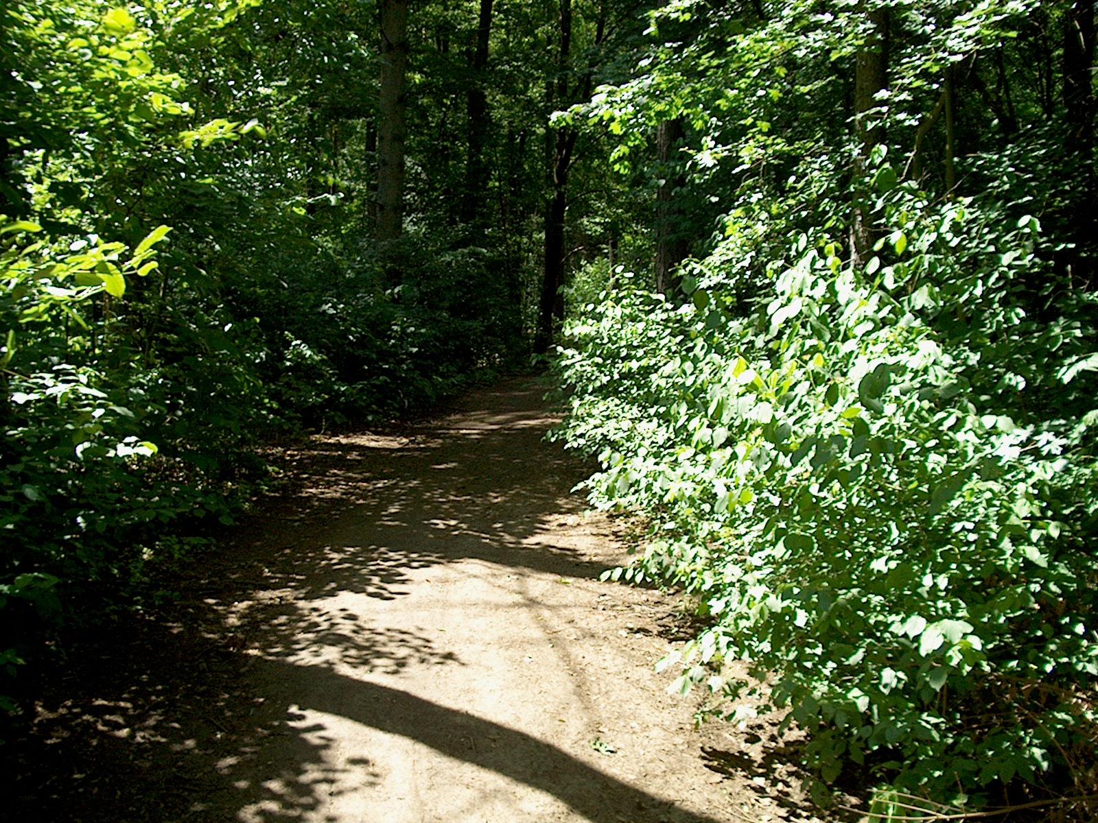 HP Photosmart C618: Jak mete staré koště?