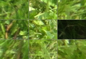 Canon PowerShot SX720 HS: kapesní šmírování