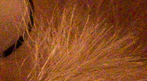 Canon PowerShot G1 X Mark II: významné zlepšení