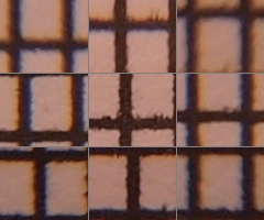 Olympus M.Zuiko Digital 14-150 mm F4-5,6