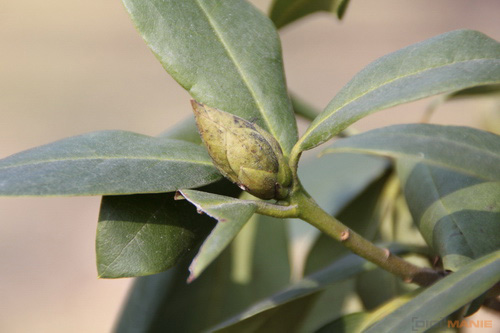 Megatest ultrazoomových objektivů