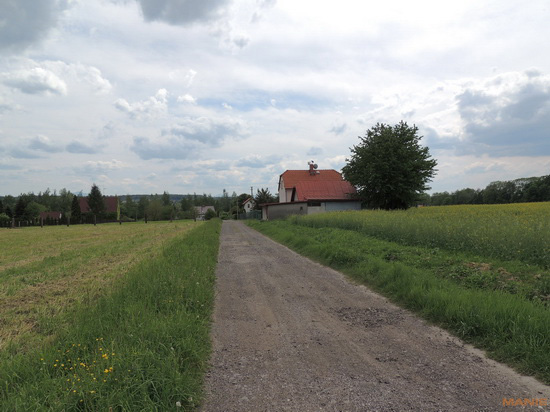 Nikon Coolpix P510: lovec rekordů