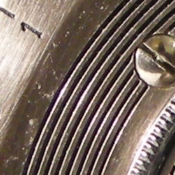 Nikon Coolpix P5100: trpělivý profesionál