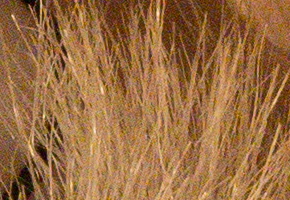 Olympus OM-D E-M5: elegantní fotokladivo