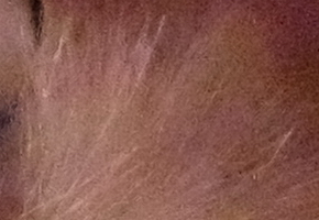 Fujifilm X-M1: našlapaná stylovka