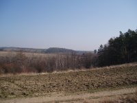 Olympus Camedia C-470 Zoom: Americký D-590