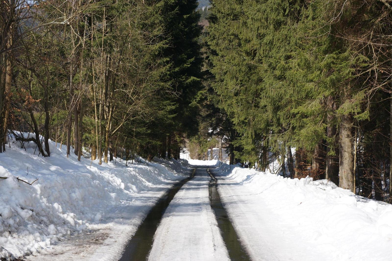 Sony NEX-6: pan dlouho očekávaný