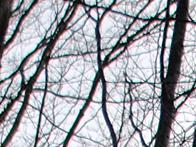 Postačí setový objektiv? Nikon vs. Sigma a Tamron