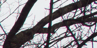 Samsung EX2F: významný krok vpřed