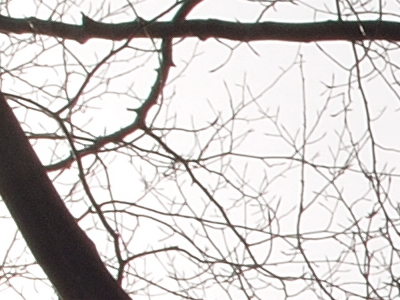 Postačí setový objektiv? Nikon vs. Sigma a Tamron