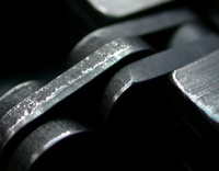 Tip Digimanie pro 50. týden roku 2005: Web Macrophotography.org