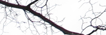 Canon PowerShot G1 X Mark II: významné zlepšení