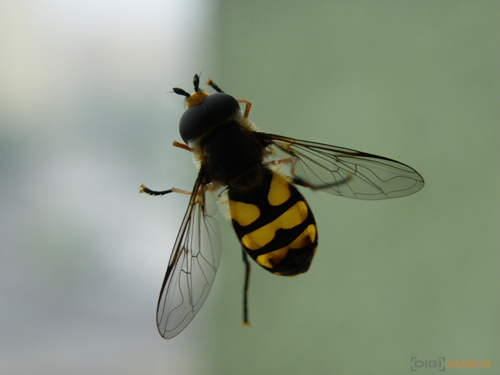 Pentax X70: neobyčejně univerzální kliďas