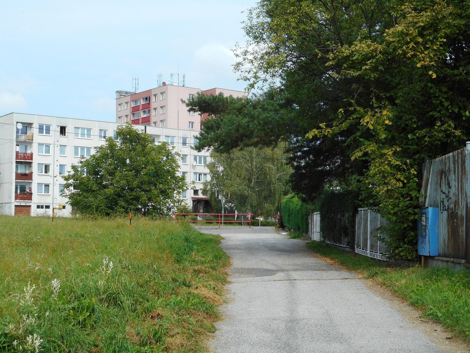 Nikon Coolpix A300: makrodrobek