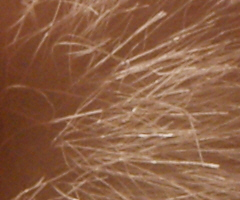 Sony Alpha A230: nejlevnější z nového trojlístku