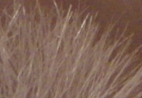 Samsung WB850F: fotící bezdrátová navigace?