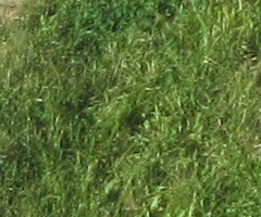 Canon IXUS 300 HS: superstylovka i pro náročné