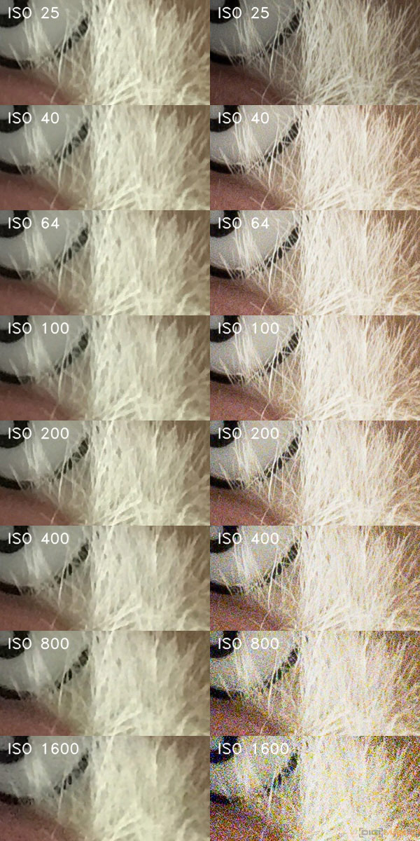 Apple iPhone SE: kompaktní silák