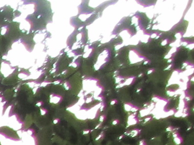 Canon PowerShot SX210 IS: s překvapivou zbraní