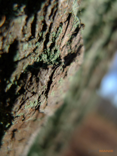 Panasonic Lumix LX3: nejtajnější přání vyslyšena