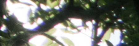 Sony E PZ 18-105mm F4 G OSS (SELP18105G)