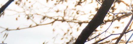 Panasonic Lumix G Vario 35-100mm F4-5.6 MEGA O.I.S.