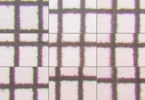 Nikon AF-P NIKKOR 18-55mm f/3.5-5.6G VR