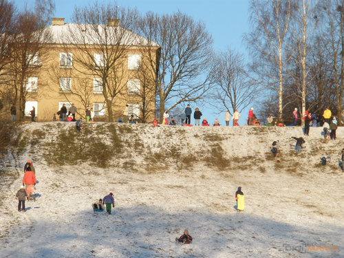 Olympus FE-370: stabilní zoom za hubičku