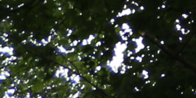 Canon EF-S 18-55mm F3,5-5,6 IS STM