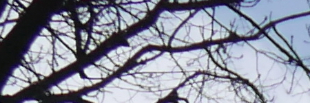 Panasonic Lumix LX100: pozoruhodný profi kompakt