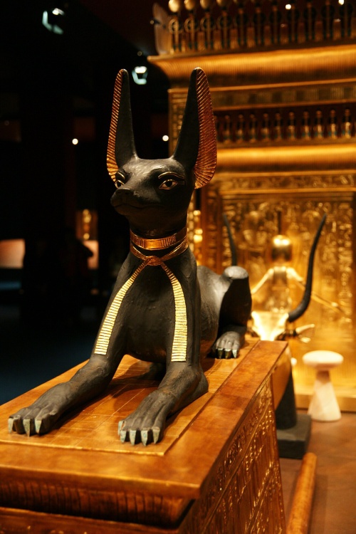 Tutanchamon: Legenda na dosah vašeho fotoaparátu